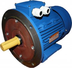 Электродвигатель 5АИ 225 М2 Е (Е2)