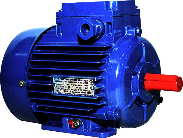 Электродвигатель 5АИ 100 L2 Е (Е2)
